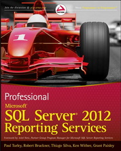 PROFESSIONAL MICROSOFT SQL SERVER 2012 REPORTING SERVICES