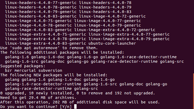 Go Installation 2